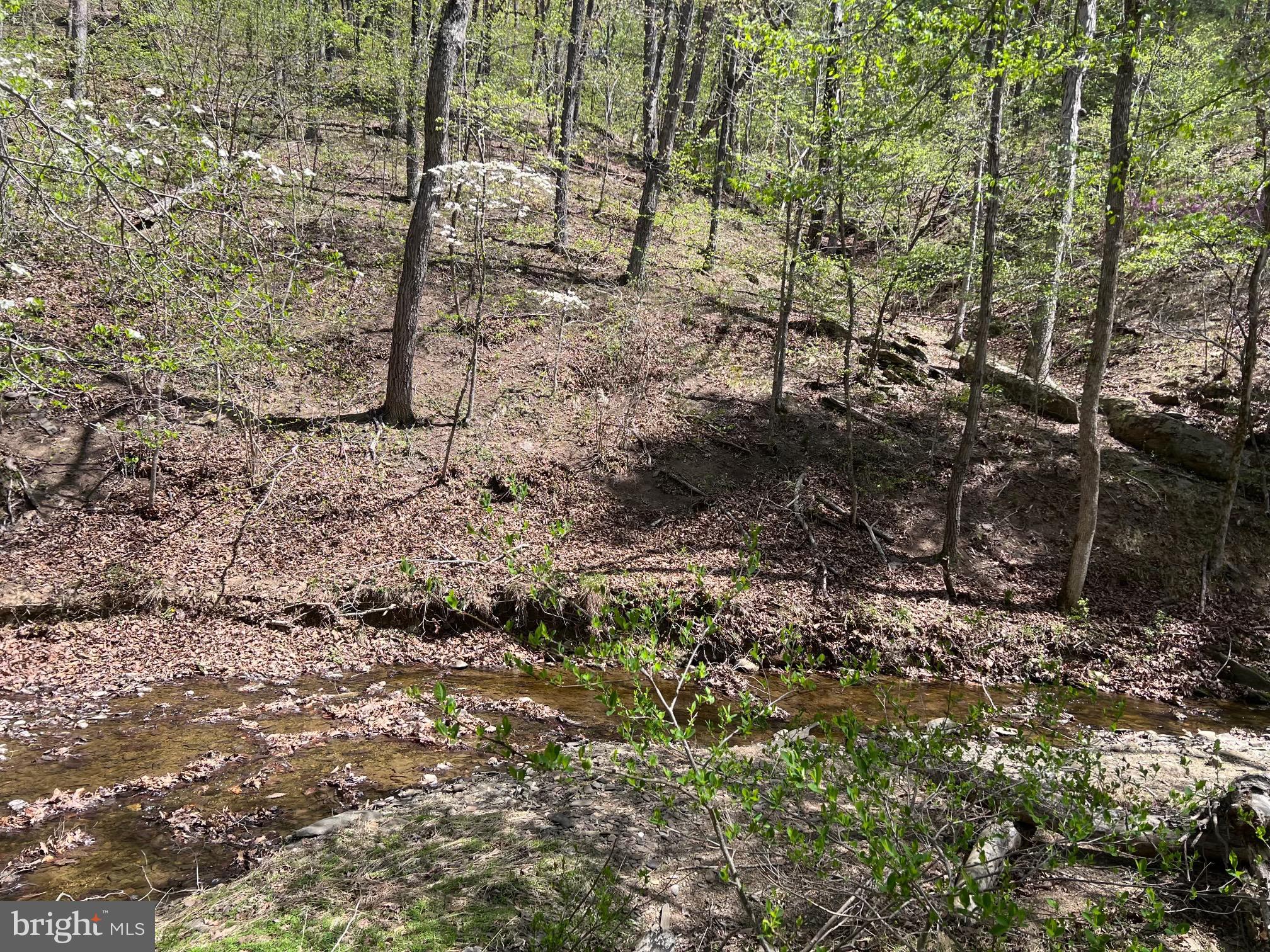 1175 T-Bird Drive Front Royal, VA 22630 - Photo 22 of 61