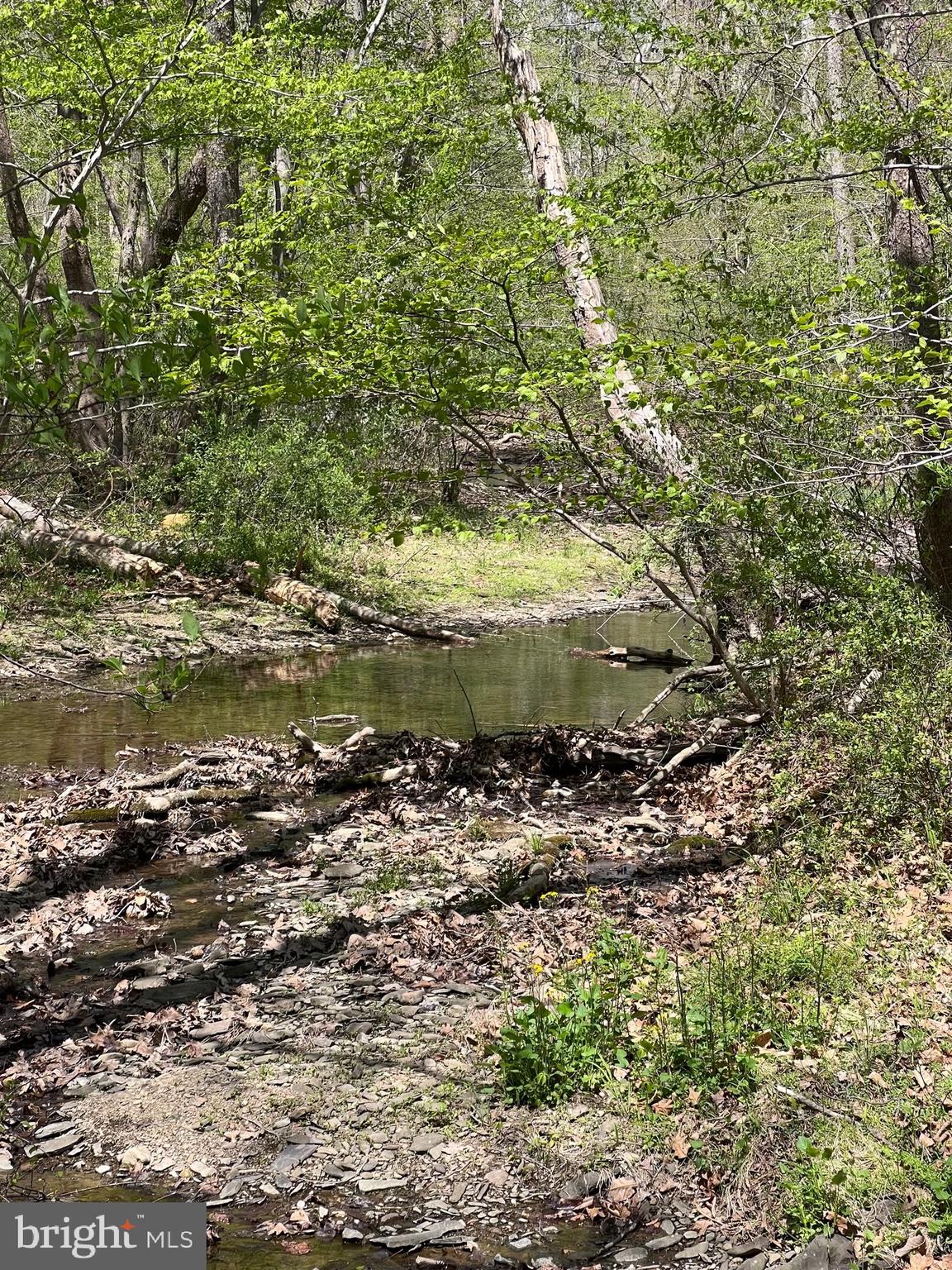 1175 T-Bird Drive Front Royal, VA 22630 - Photo 23 of 61