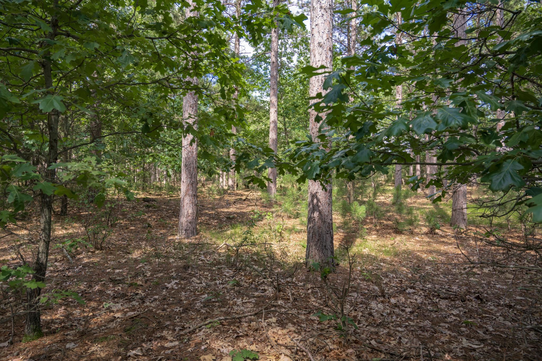 Lot 23 Dover Friendship, WI 53934 - Photo 4 of 15