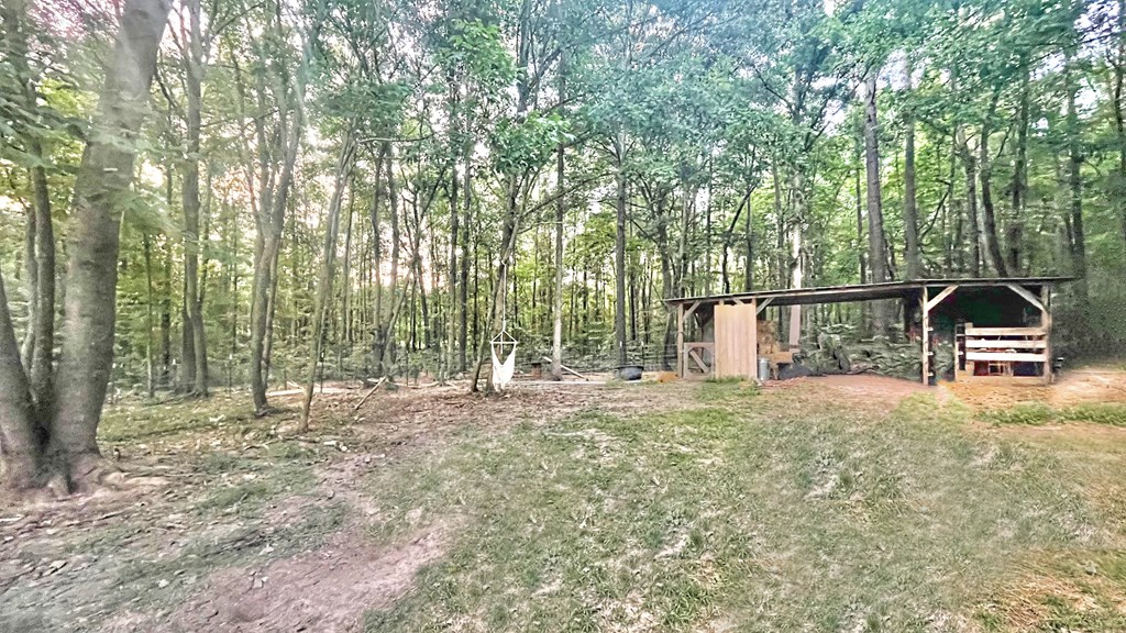 1186 Berry Bennett Road Chatsworth, GA 30705 - Photo 46 of 49 Gallery Image 46