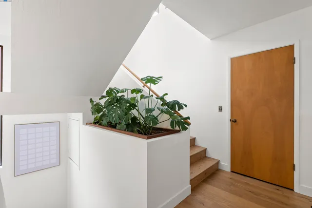 a view of a hallway with wooden floor and a potted plant