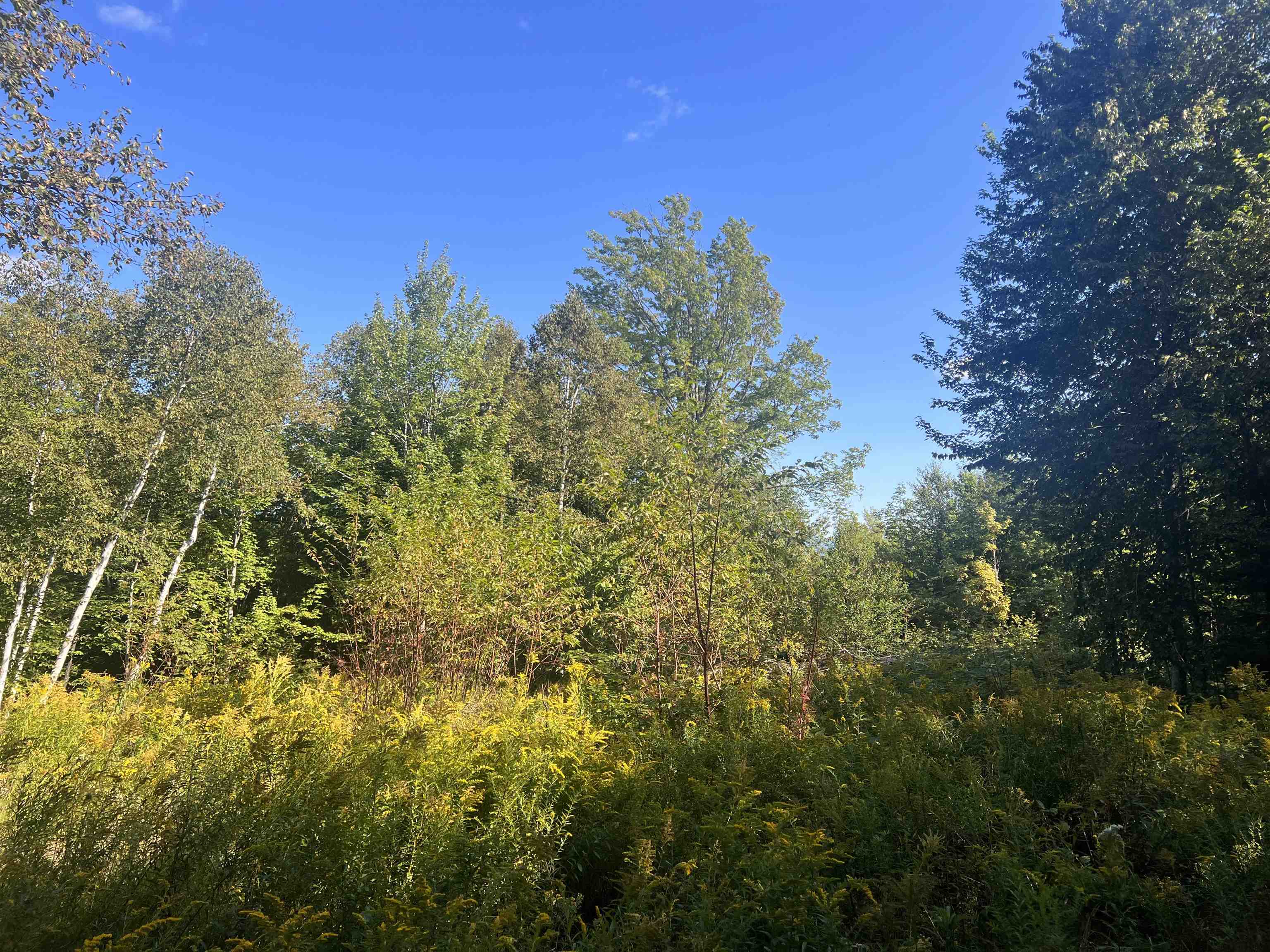 92.2 Kimball Road Lunenburg, VT 05906 - Photo 14 of 21