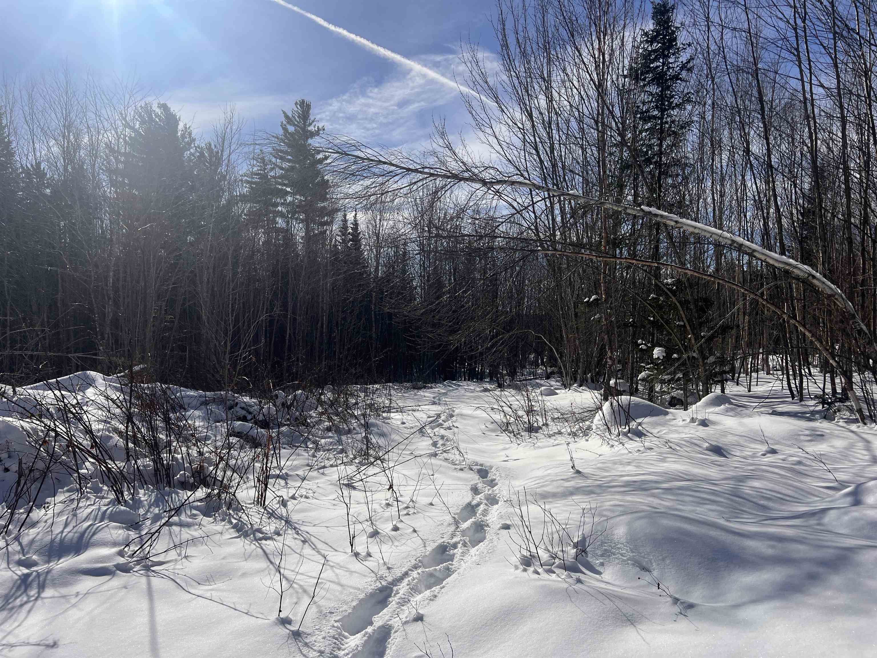 92.2 Kimball Road Lunenburg, VT 05906 - Photo 20 of 21