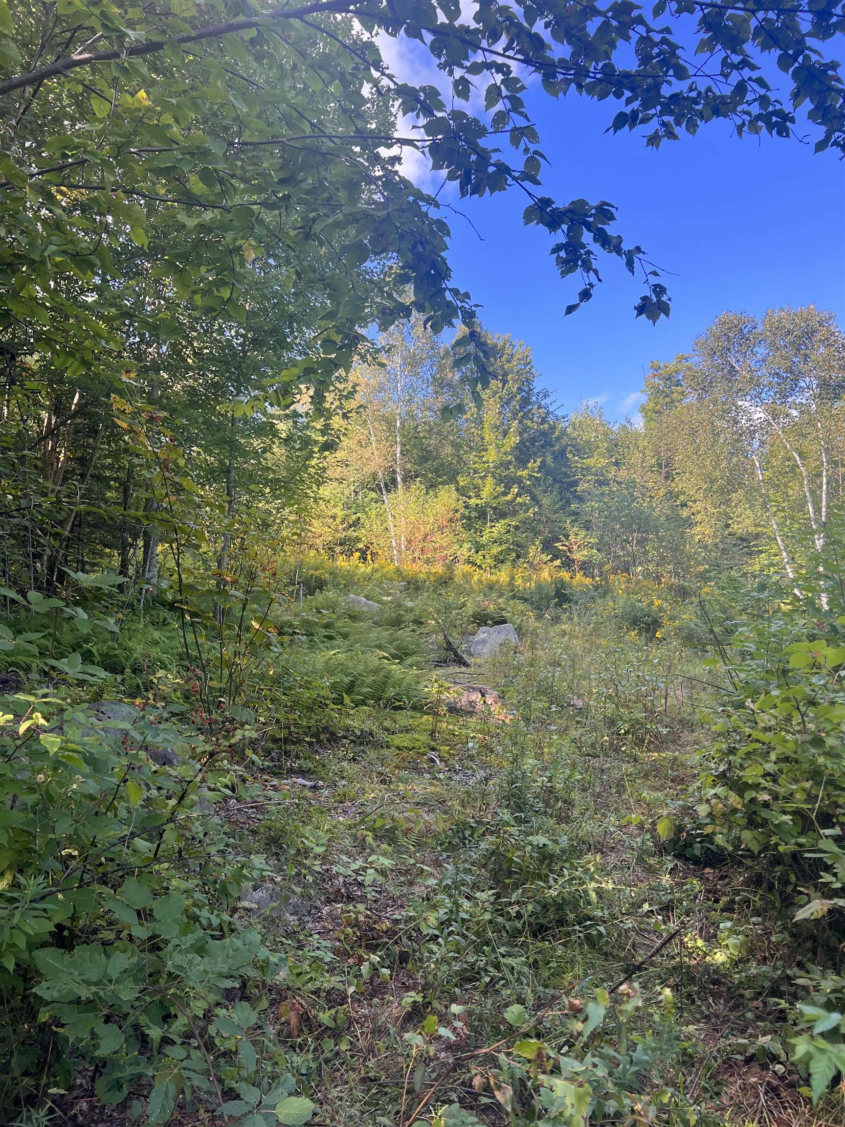 92.2 Kimball Road Lunenburg, VT 05906 - Photo 5 of 21