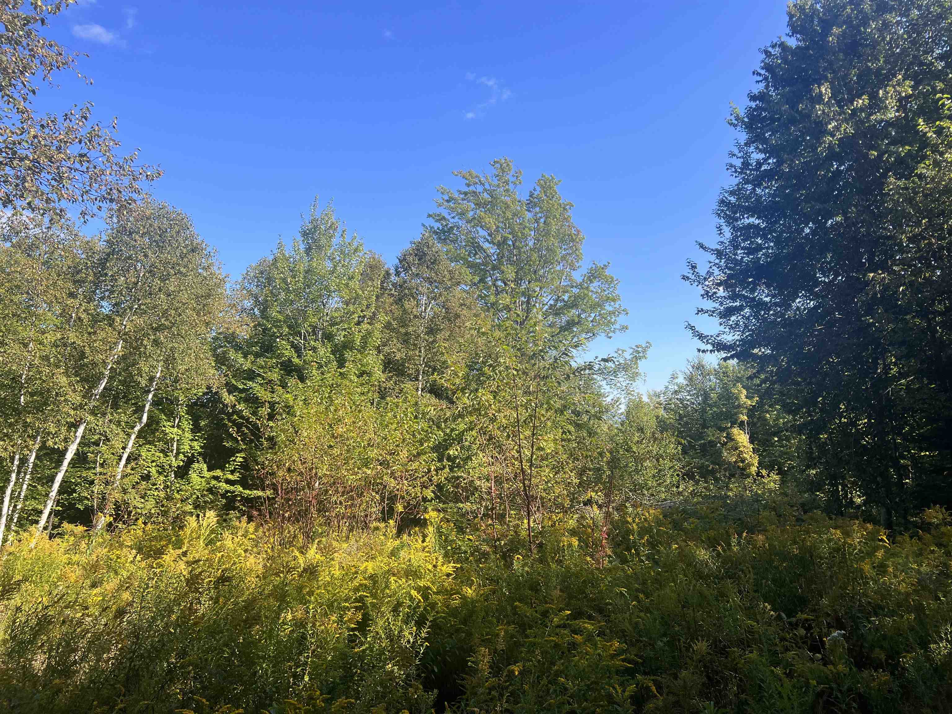 92.2 Kimball Road Lunenburg, VT 05906 - Photo 7 of 21