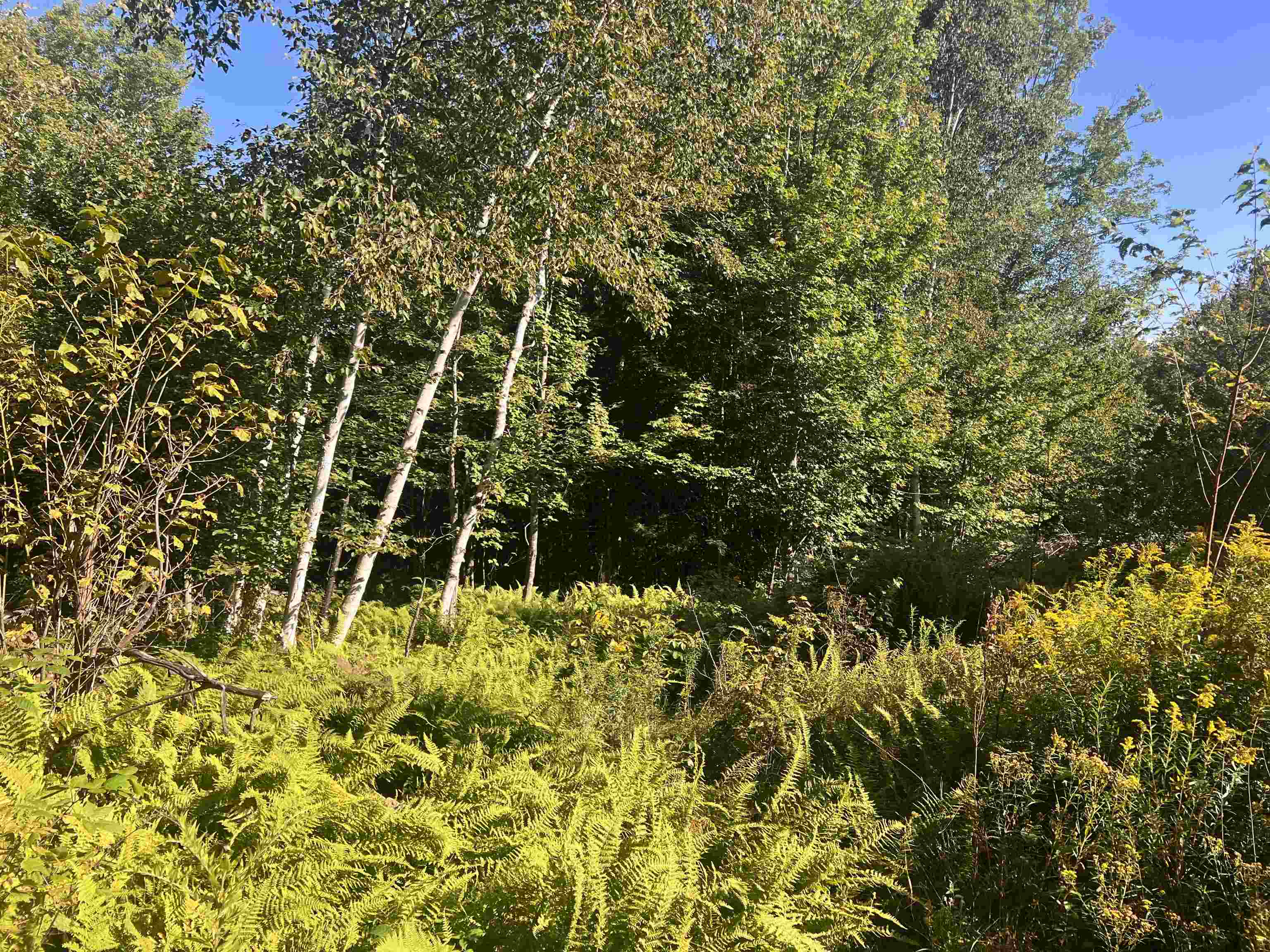 92.2 Kimball Road Lunenburg, VT 05906 - Photo 9 of 21