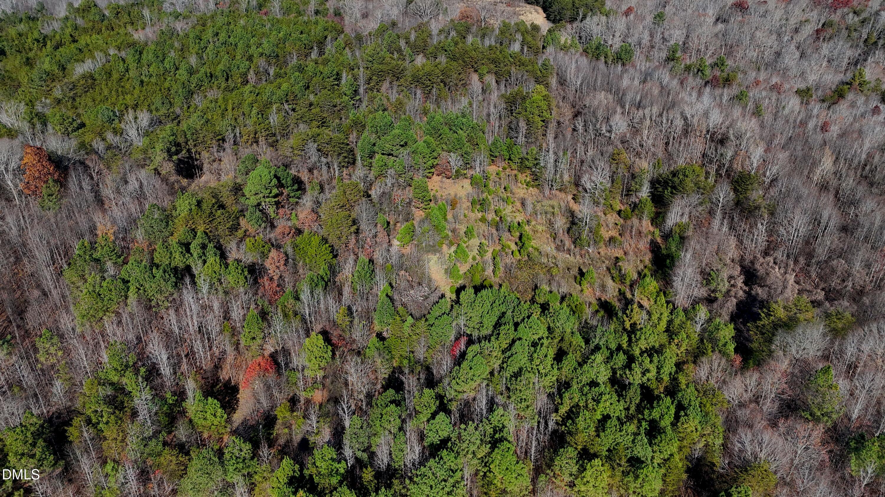5417 Turner Smith Road Browns Summit, NC 27214 - Photo 2 of 10 a view of a plant in a garden