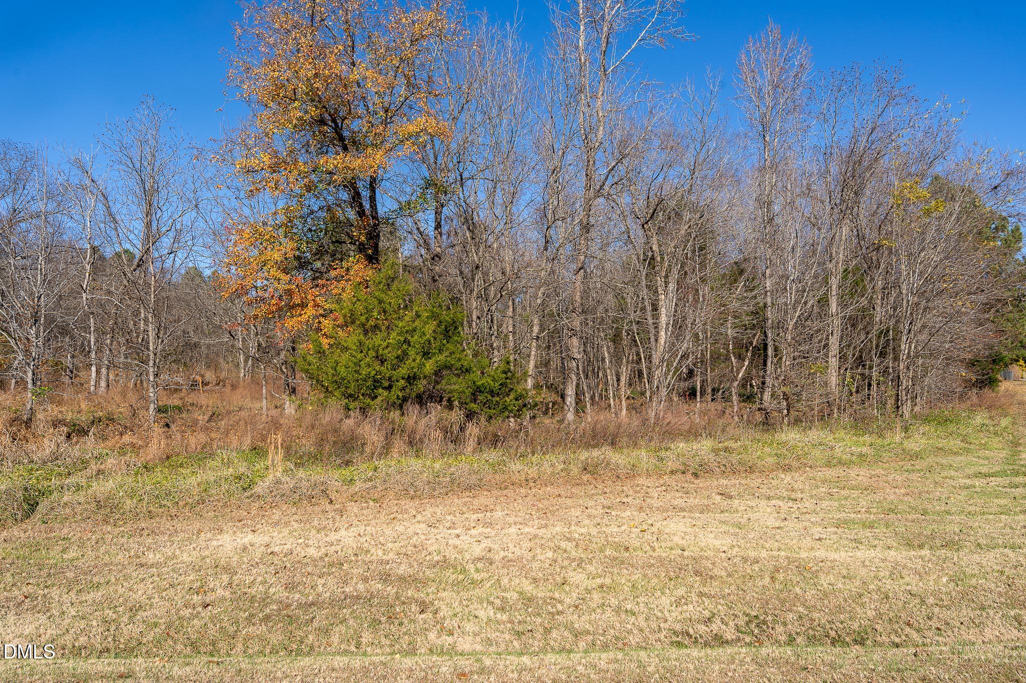 5417 Turner Smith Road Browns Summit, NC 27214 - Photo 3 of 10 a view of a yard