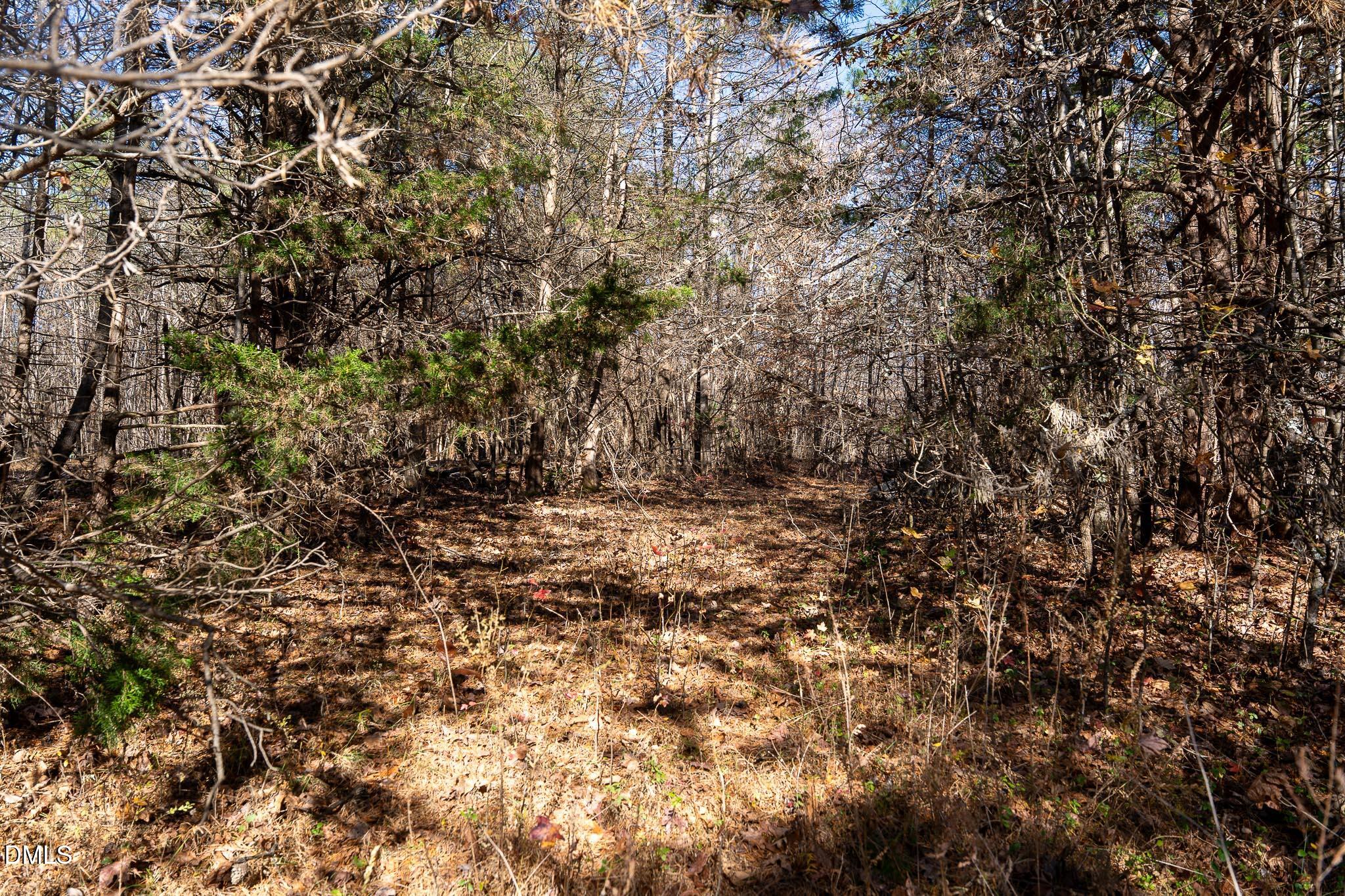 5417 Turner Smith Road Browns Summit, NC 27214 - Photo 4 of 10