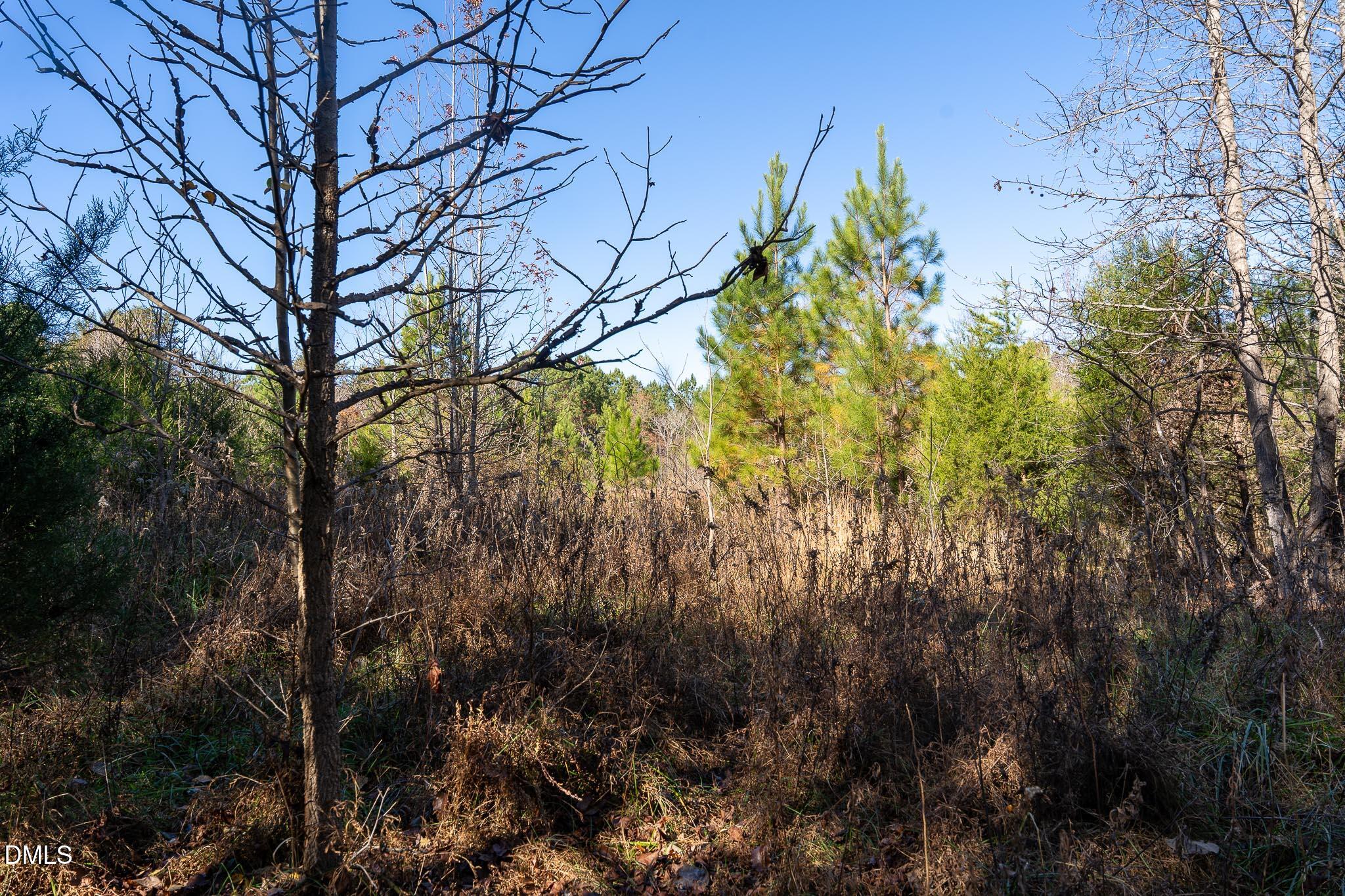 5417 Turner Smith Road Browns Summit, NC 27214 - Photo 5 of 10 a backyard of a building