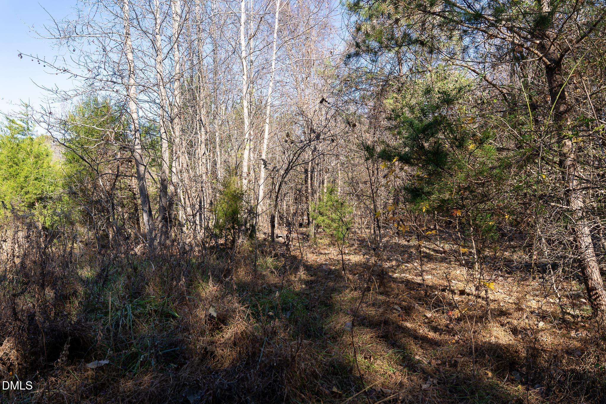 5417 Turner Smith Road Browns Summit, NC 27214 - Photo 6 of 10 a view of a yard with a tree