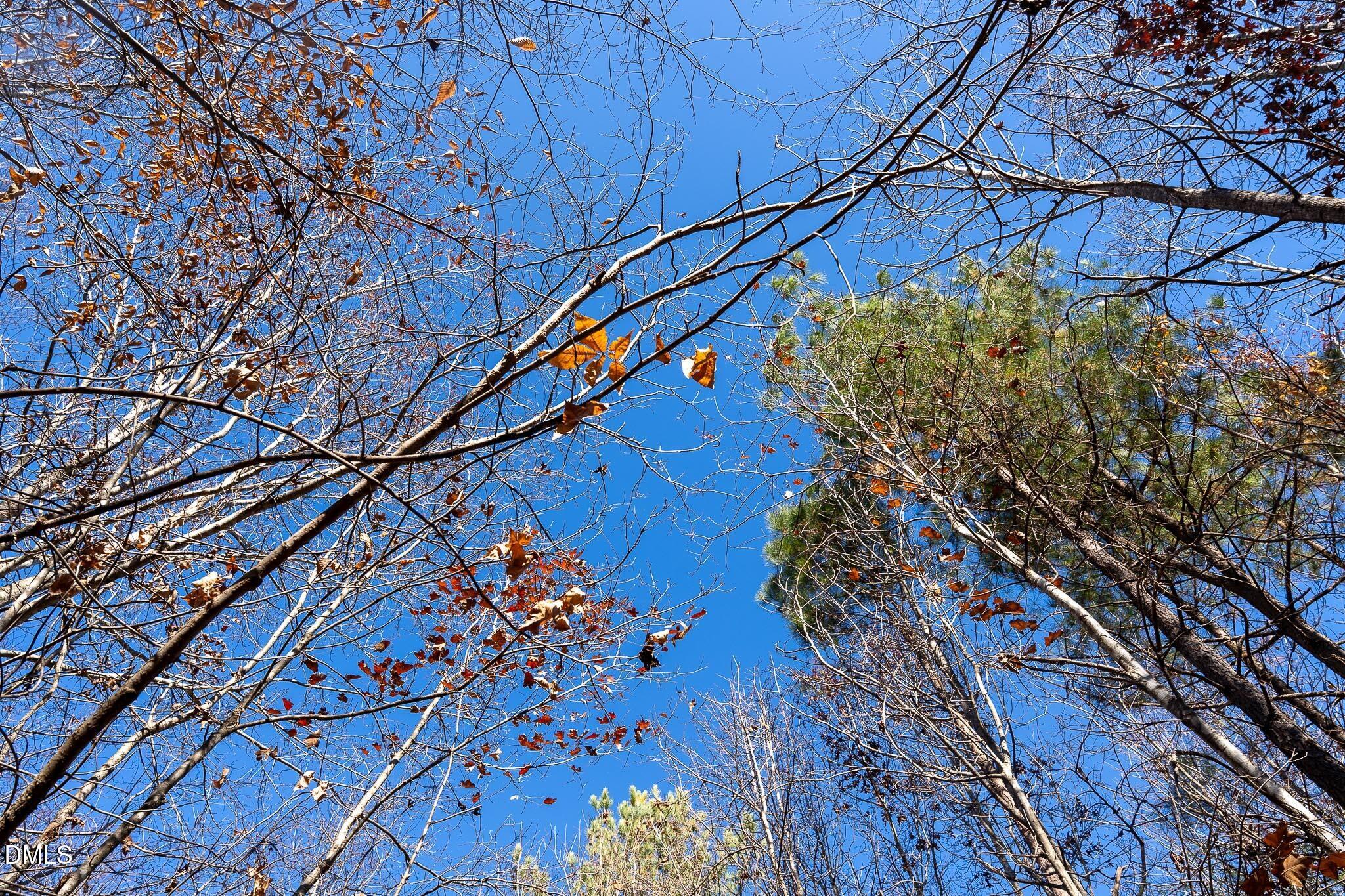 5417 Turner Smith Road Browns Summit, NC 27214 - Photo 7 of 10