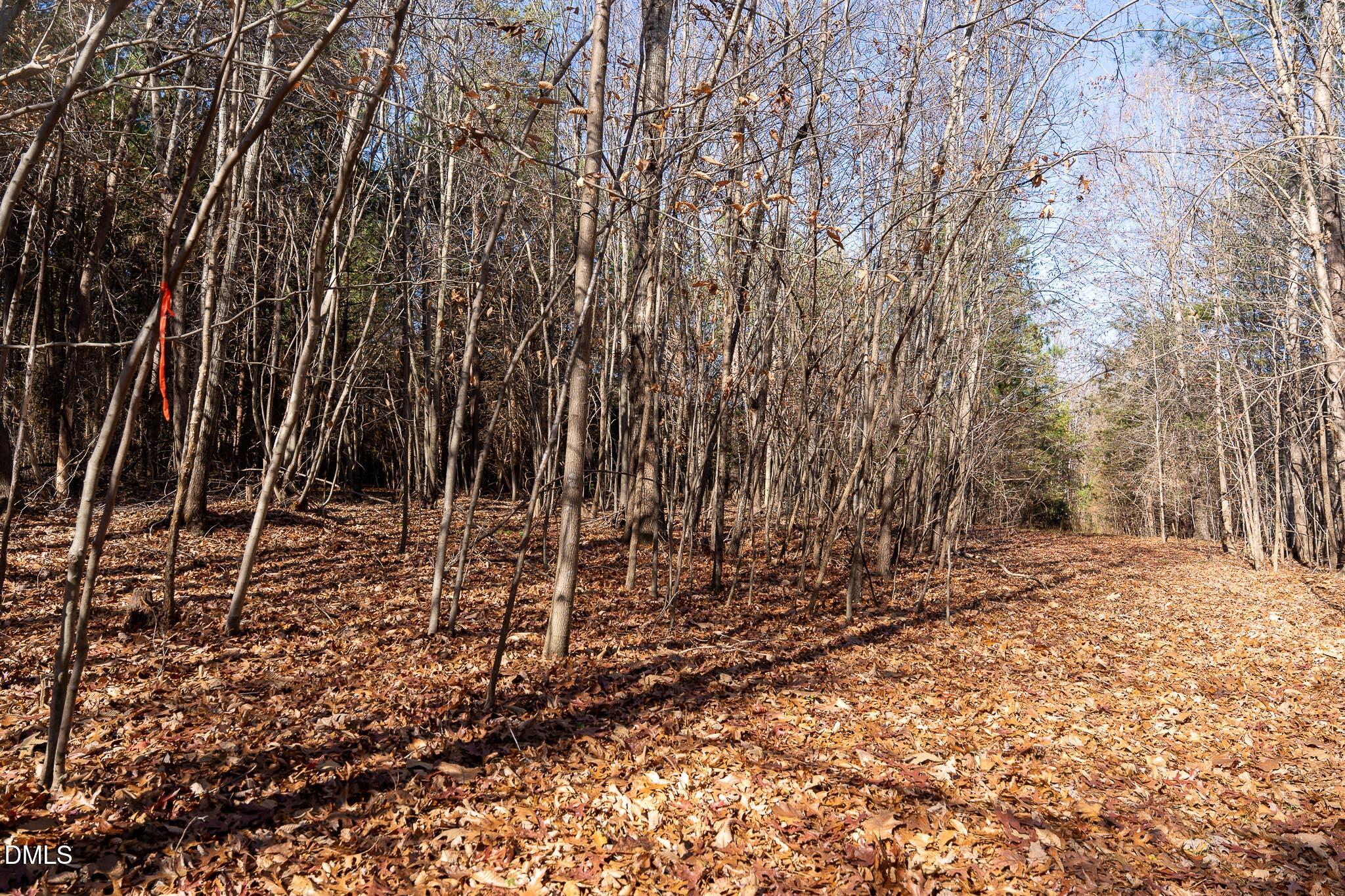 5417 Turner Smith Road Browns Summit, NC 27214 - Photo 8 of 10 a view of a yard with trees