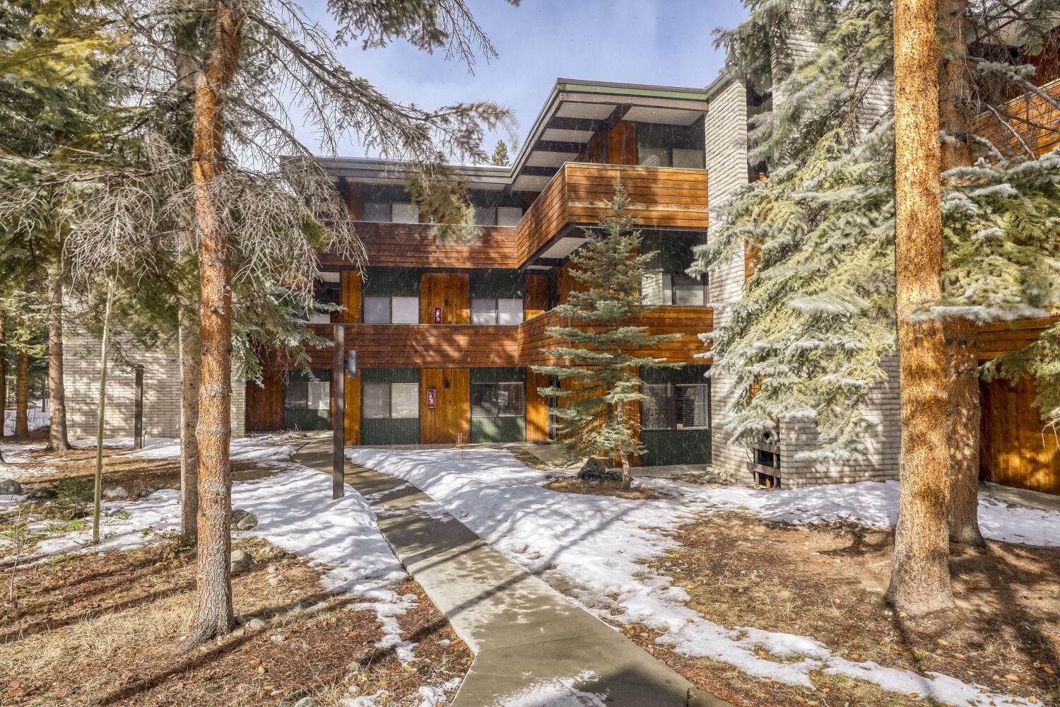 935 Columbine Road, Unit 104 Breckenridge, CO 80424 - Photo 5 of 17