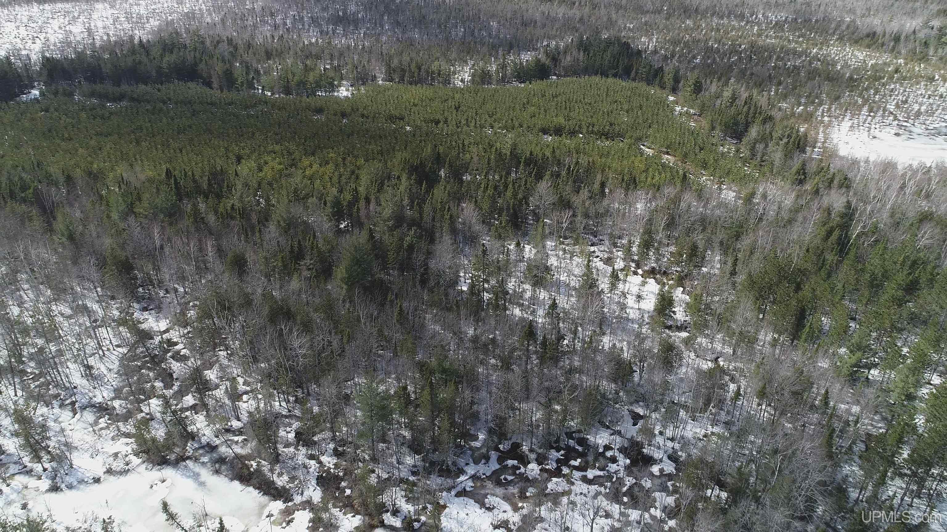 40-acres Off Flodin Road Manistique, MI 49854 - Photo 22 of 23