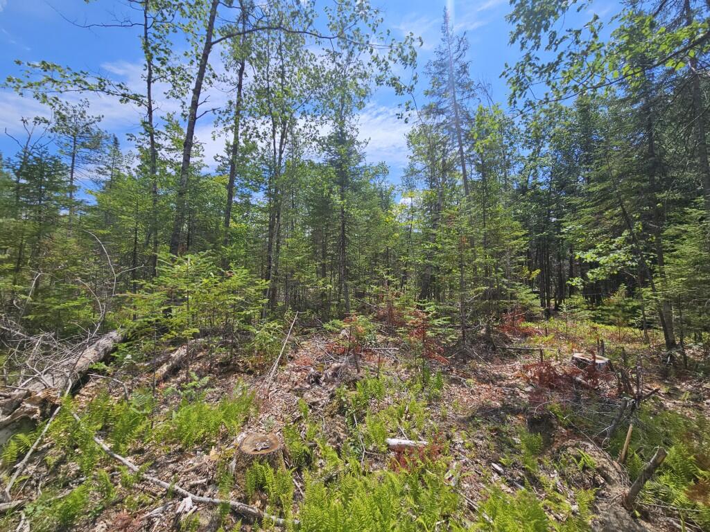 19 A Quaker Ridge Road Leeds, ME 04263 - Photo 24 of 37 20260716_131657