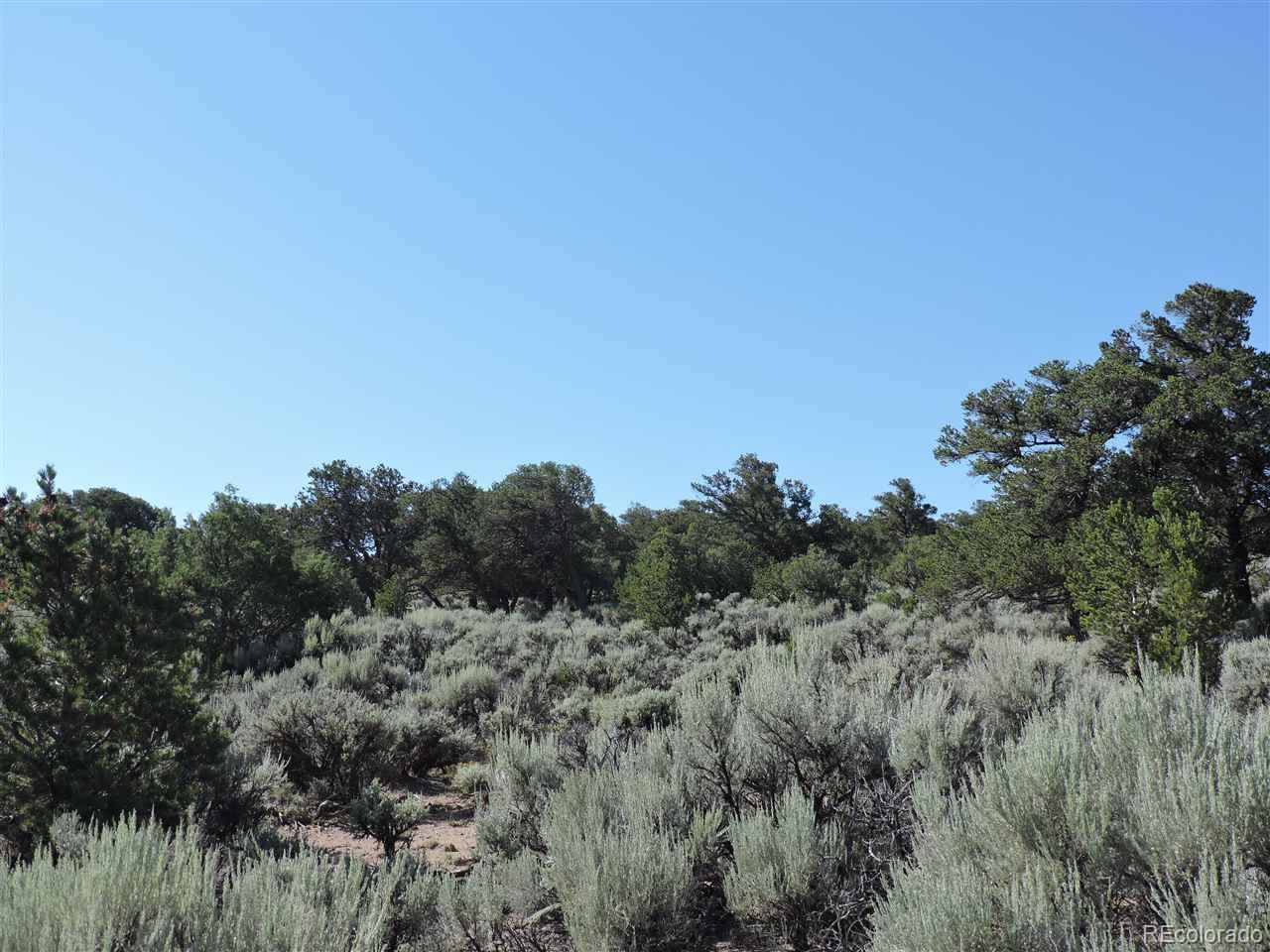 7204 Burnham Road Fort Garland, CO 81133 - Photo 3 of 8 Gallery Image 3