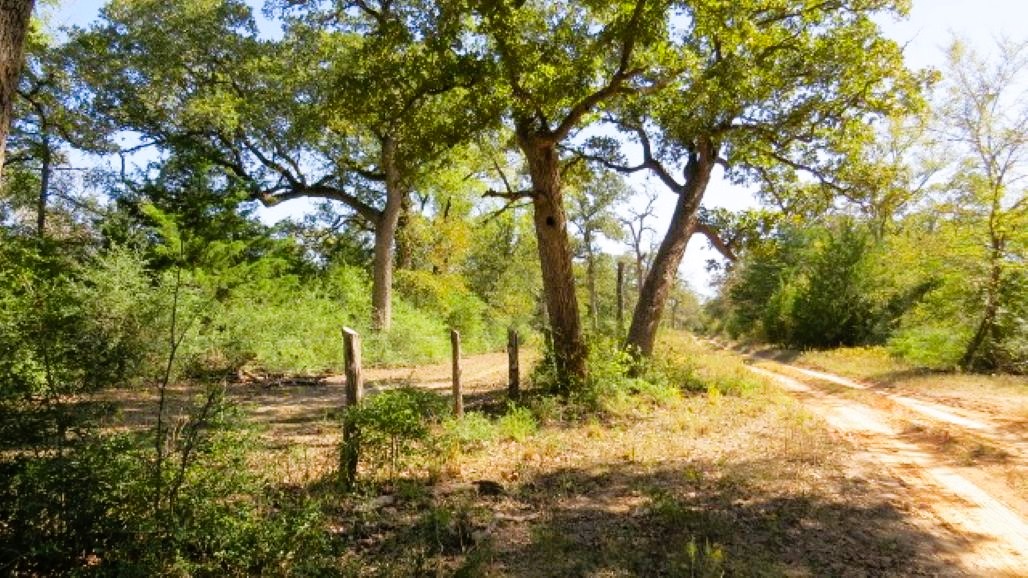 Tbd Jackrabbit Lane Bryan, TX 77808 - Photo 13 of 17 a backyard of a house with lots of green space