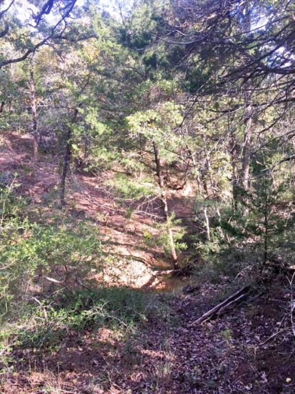 Tbd Jackrabbit Lane Bryan, TX 77808 - Photo 15 of 17 a view of outdoor space and a yard