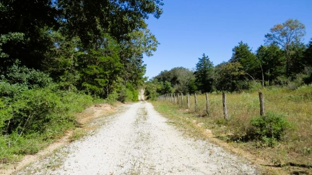 Tbd Jackrabbit Lane Bryan, TX 77808 - Photo 16 of 17 a backyard of a house with lots of green space