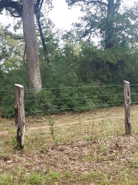 Tbd Jackrabbit Lane Bryan, TX 77808 - Photo 4 of 17 a backyard of a house with lots of green space