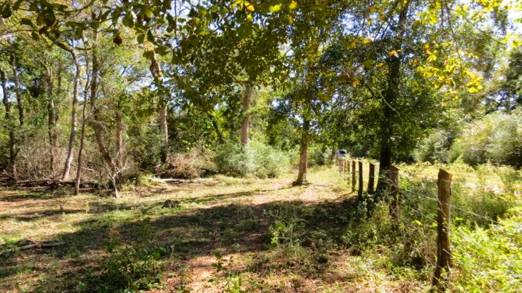 Tbd Jackrabbit Lane Bryan, TX 77808 - Photo 9 of 17 a view of a yard with a tree