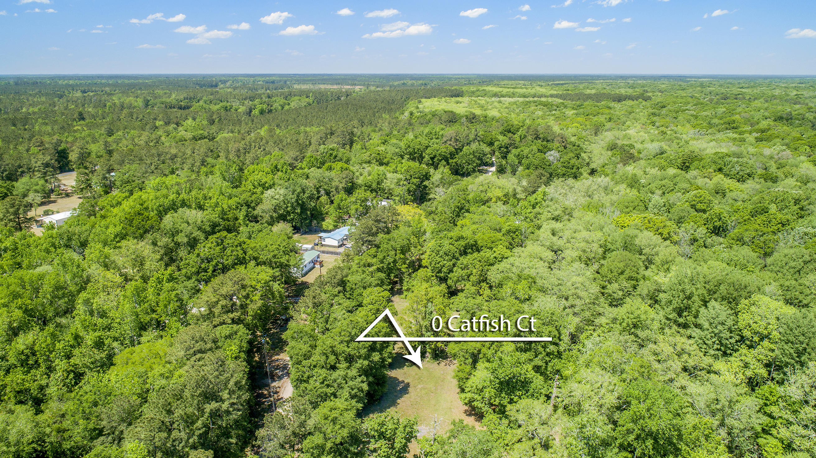 0 Catfish Lane Ridgeville, SC 29472 - Photo 1 of 42 DJI_0002