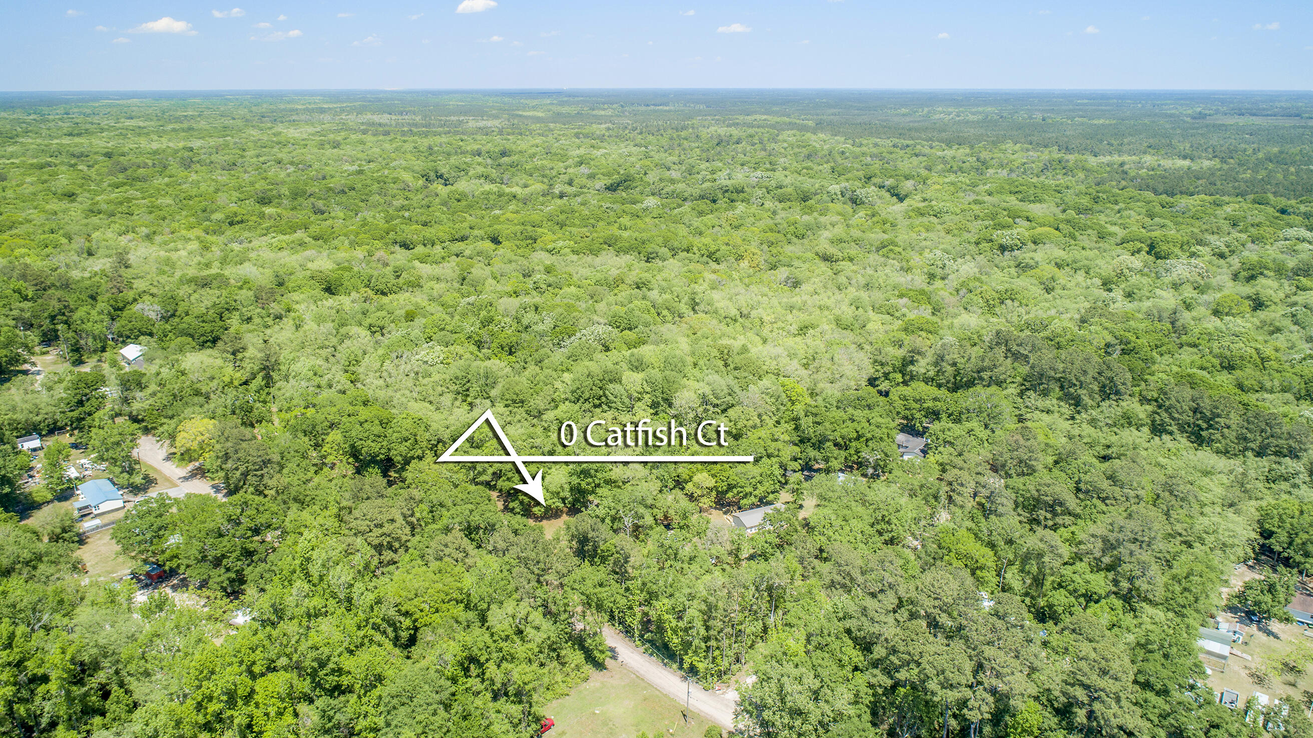 0 Catfish Lane Ridgeville, SC 29472 - Photo 11 of 42 DJI_0008