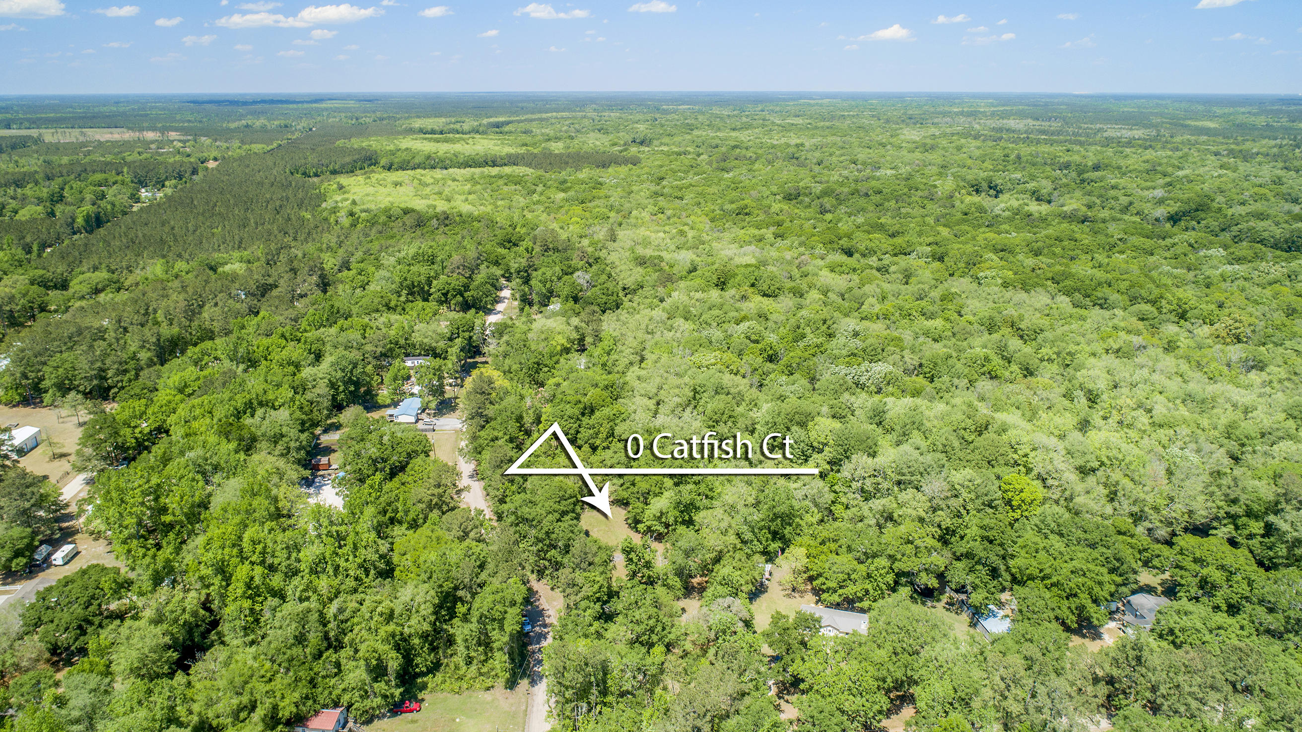 0 Catfish Lane Ridgeville, SC 29472 - Photo 12 of 42 DJI_0009