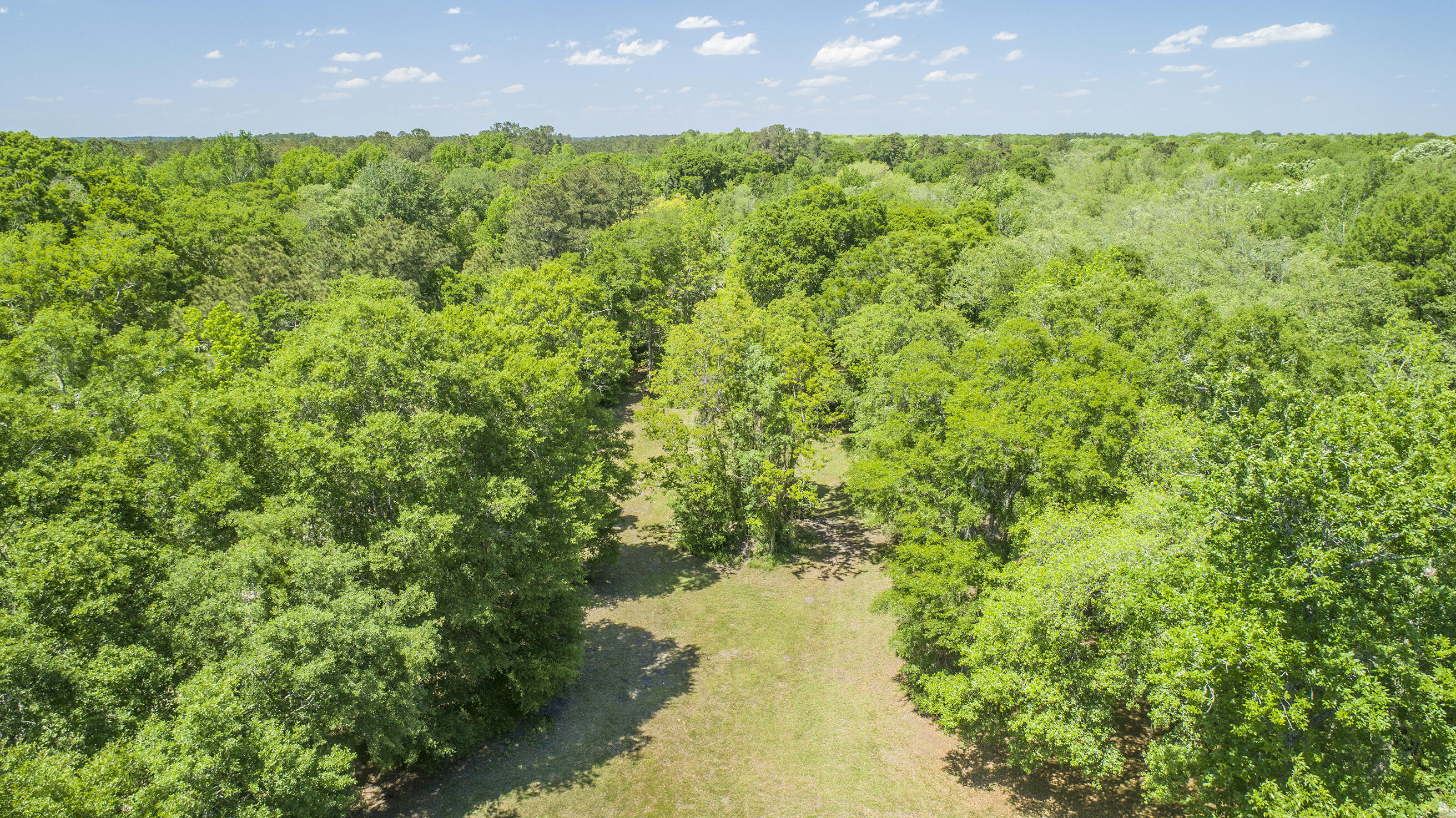 0 Catfish Lane Ridgeville, SC 29472 - Photo 21 of 42 DJI_0021