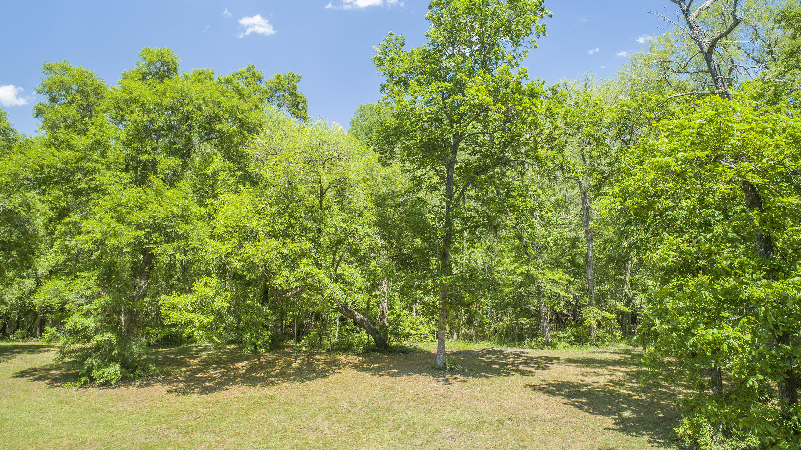 0 Catfish Lane Ridgeville, SC 29472 - Photo 23 of 42 DJI_0023