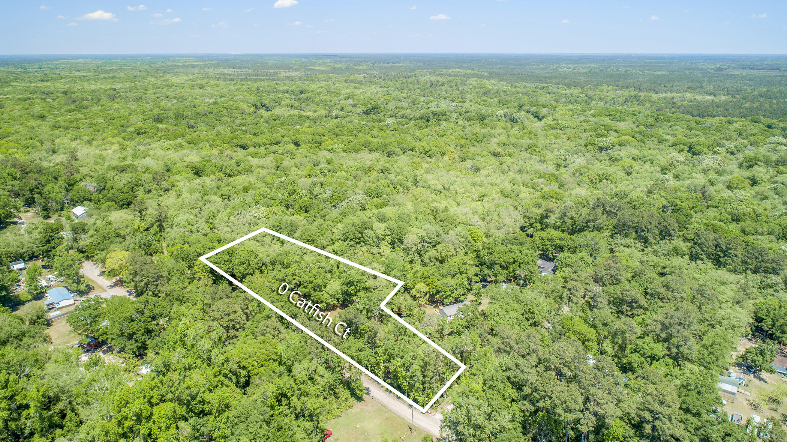 0 Catfish Lane Ridgeville, SC 29472 - Photo 3 of 42 DJI_0008-2