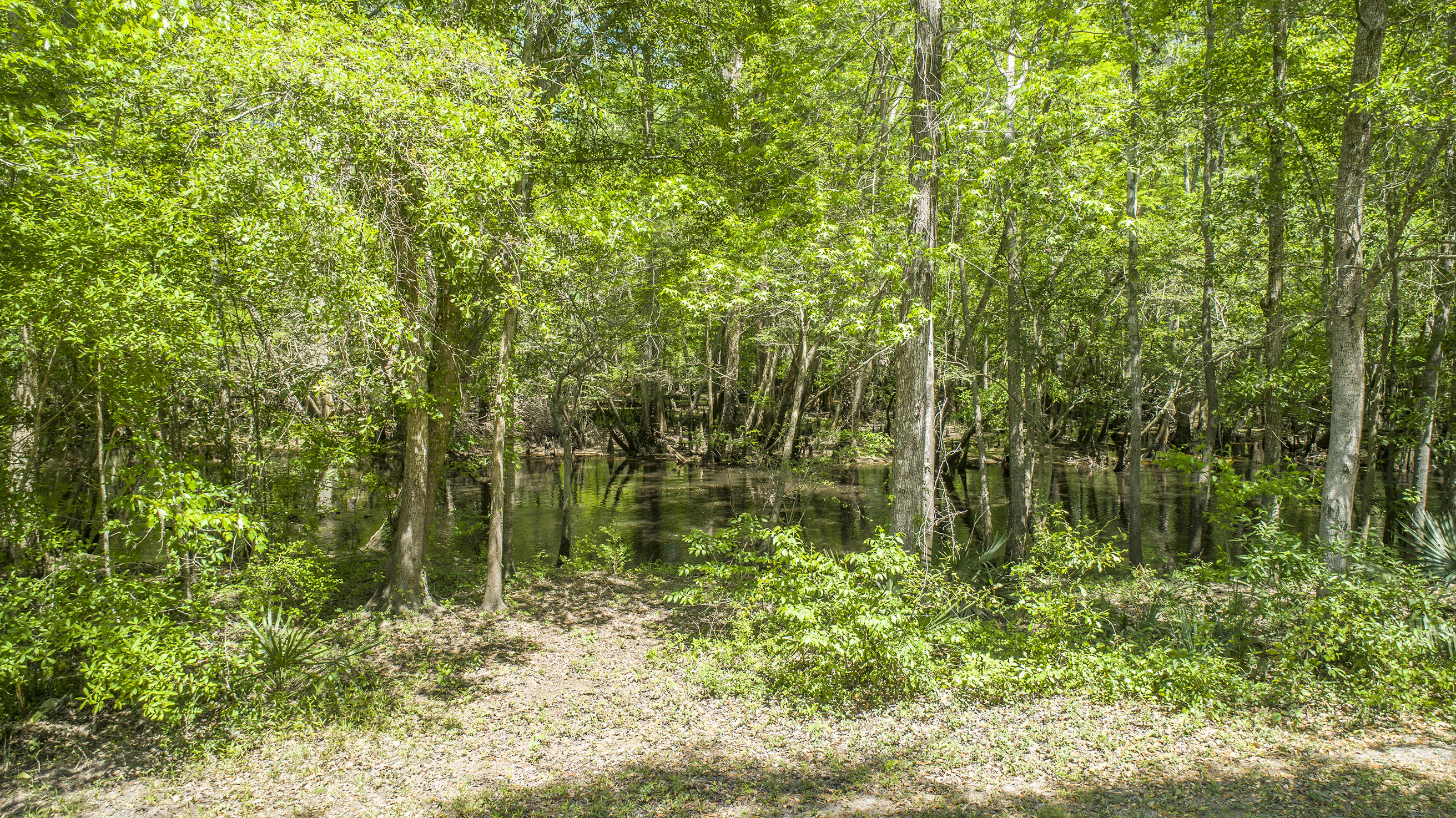 0 Catfish Lane Ridgeville, SC 29472 - Photo 31 of 42 DJI_0032
