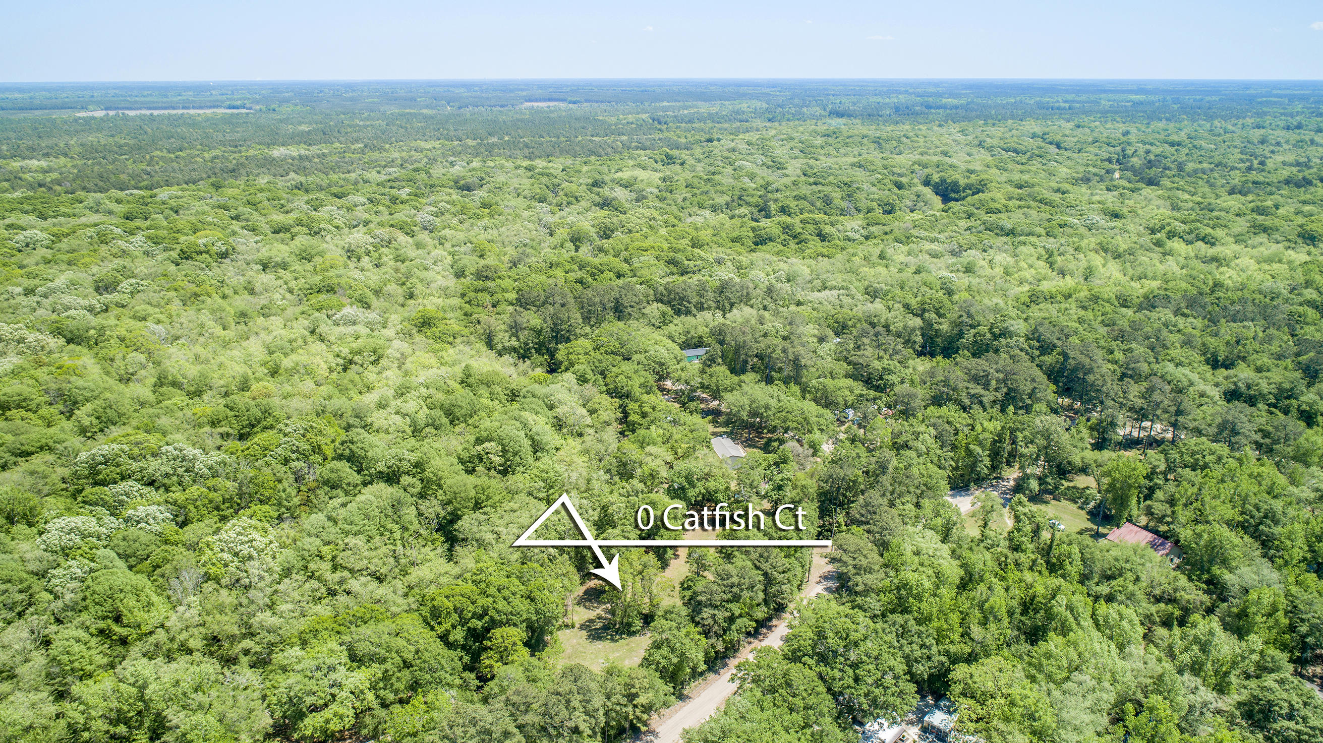 0 Catfish Lane Ridgeville, SC 29472 - Photo 9 of 42 DJI_0006