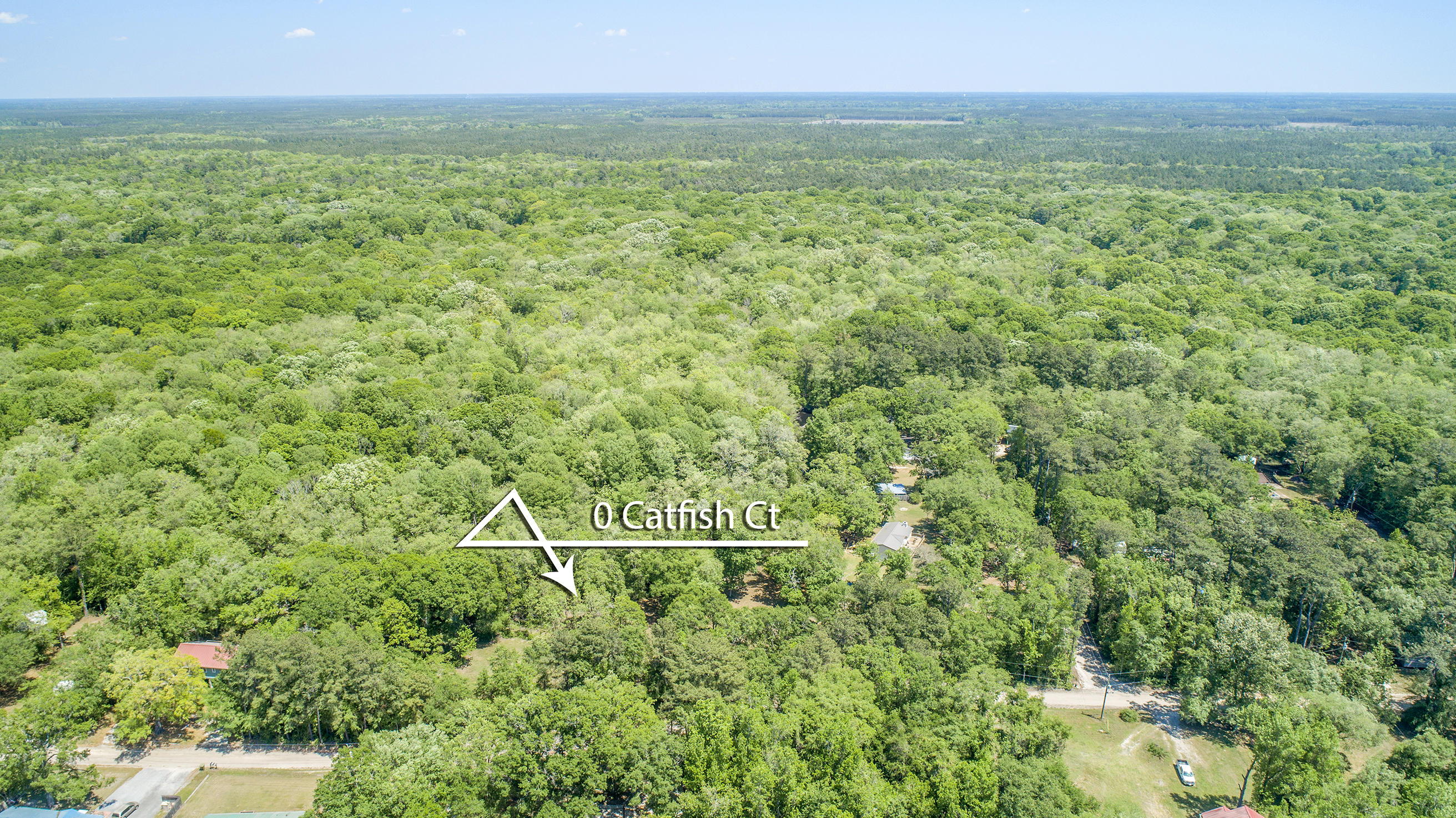 0 Catfish Lane Ridgeville, SC 29472 - Photo 10 of 42 DJI_0007