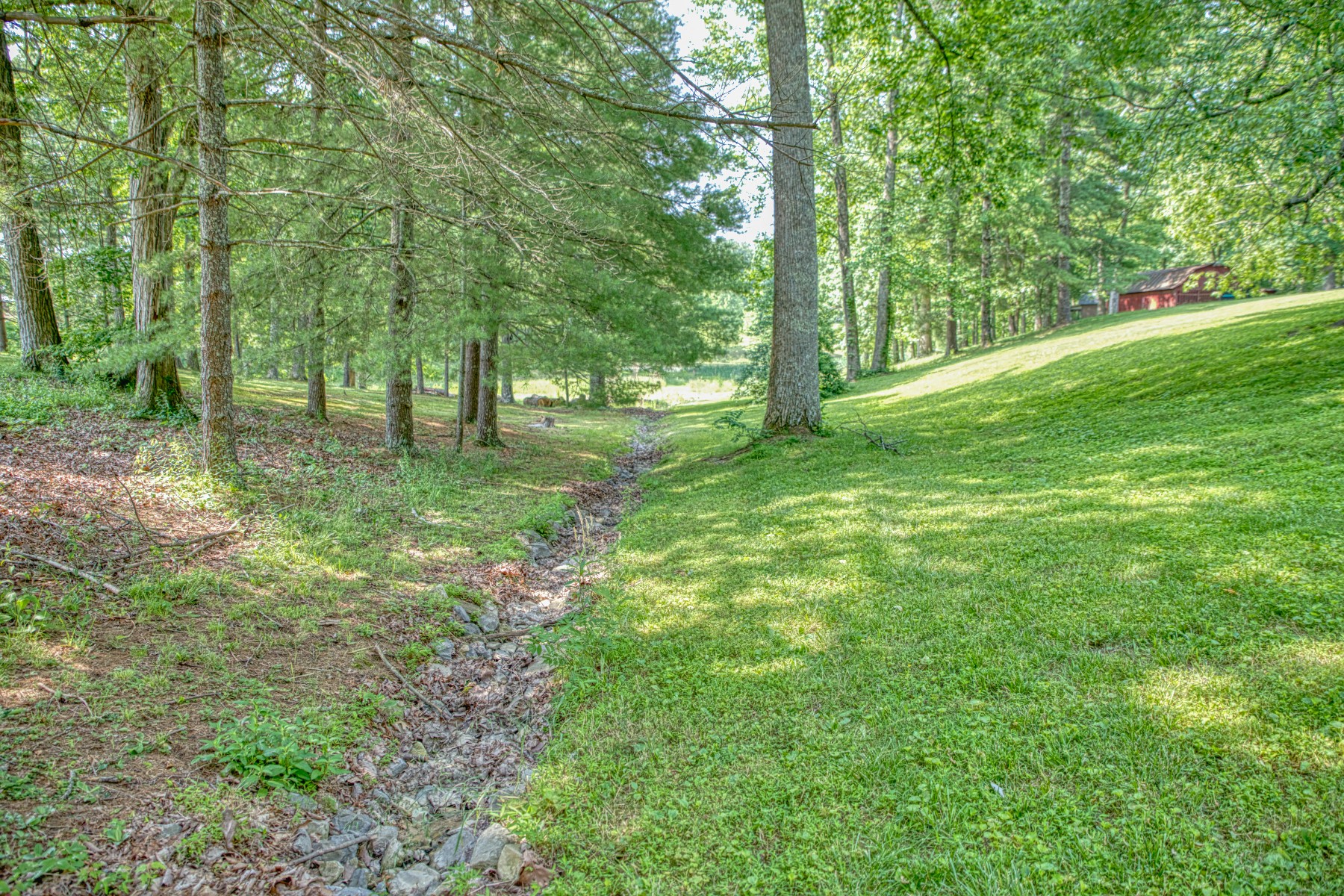 260 Fate Ivy Road Monterey, TN 38574 - Photo 26 of 32 a big yard with lots of green space and deers