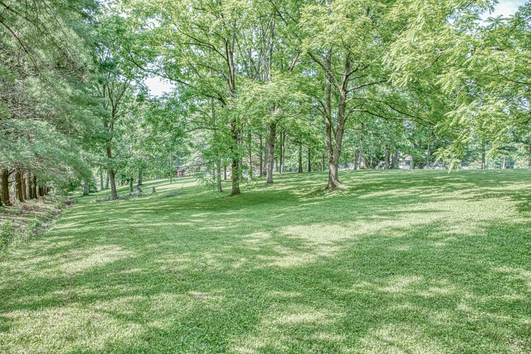 260 Fate Ivy Road Monterey, TN 38574 - Photo 27 of 32 a huge green field with lots of trees