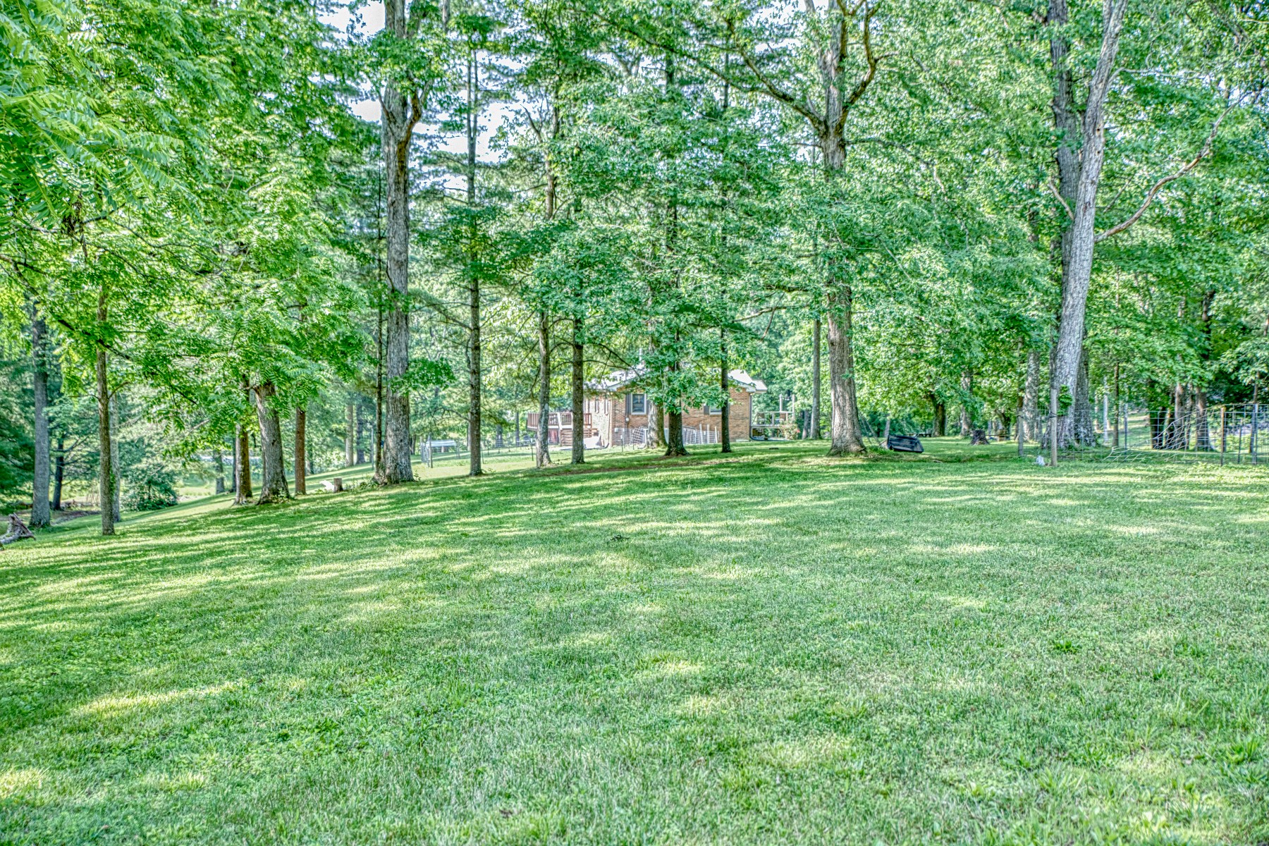 260 Fate Ivy Road Monterey, TN 38574 - Photo 28 of 32 a view of green field with trees in the background