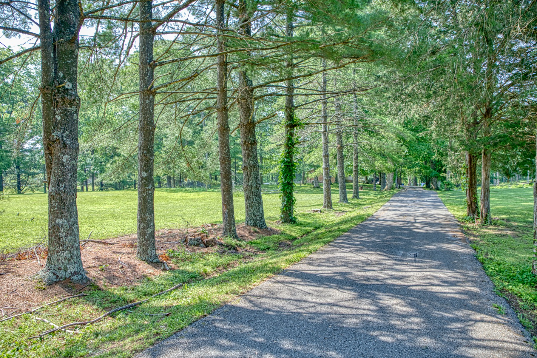 260 Fate Ivy Road Monterey, TN 38574 - Photo 30 of 32 a view of a park with large trees
