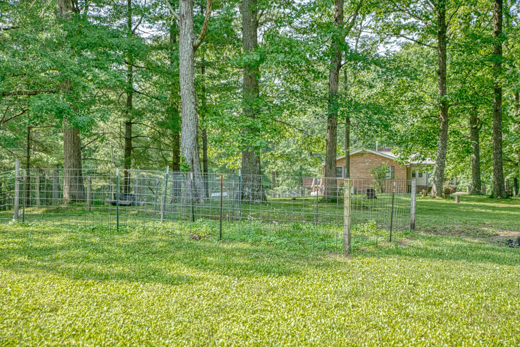 260 Fate Ivy Road Monterey, TN 38574 - Photo 31 of 32 a view of a backyard with a garden