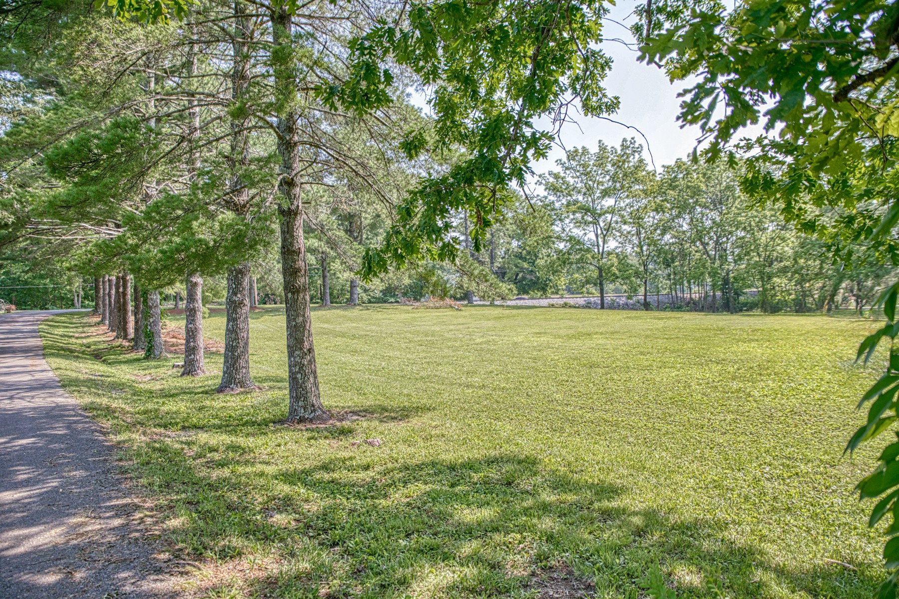 260 Fate Ivy Road Monterey, TN 38574 - Photo 32 of 32 a view of a trees with a yard