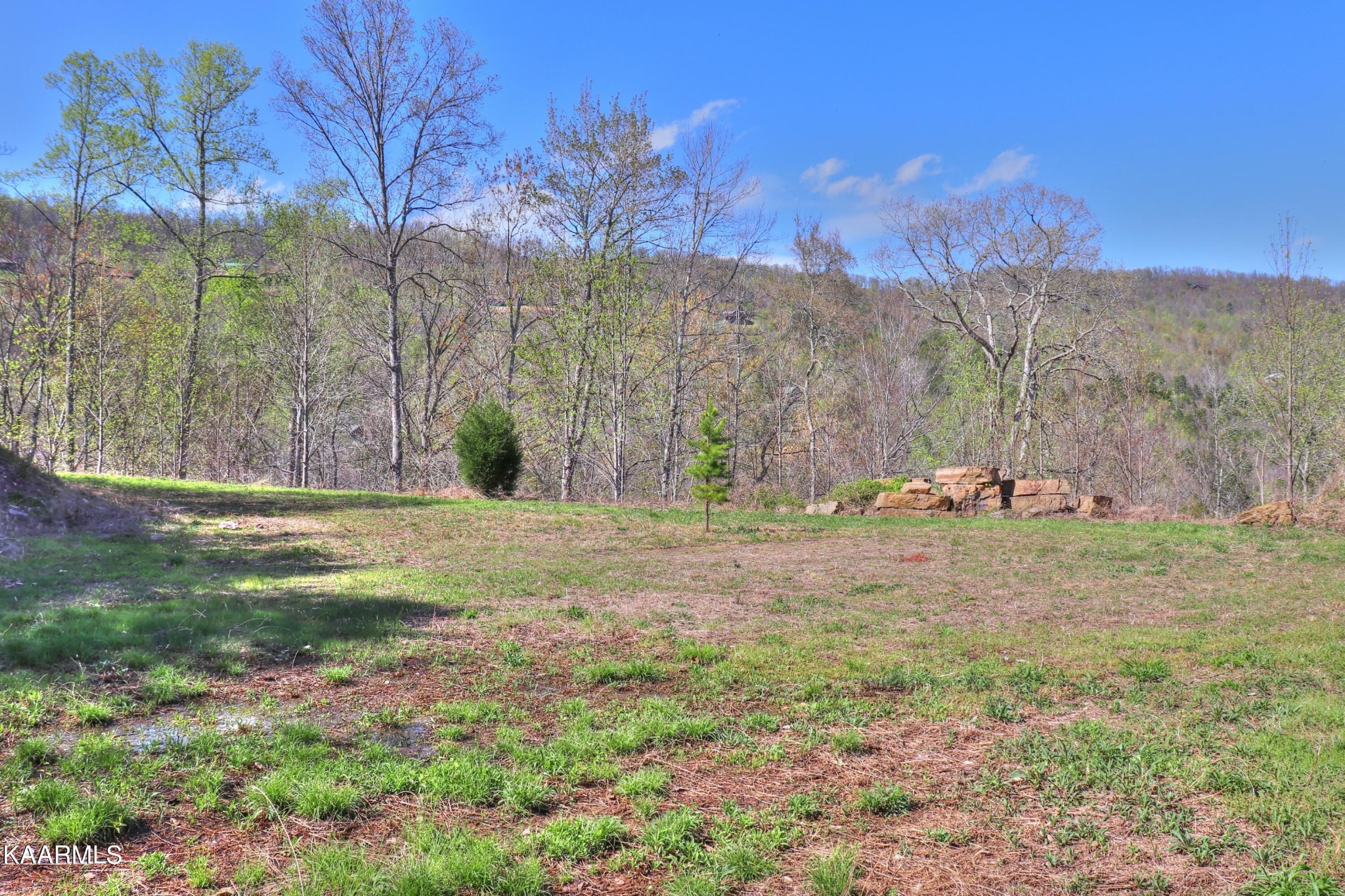 873 Clearwater Road New Tazewell, TN 37825 - Photo 26 of 38