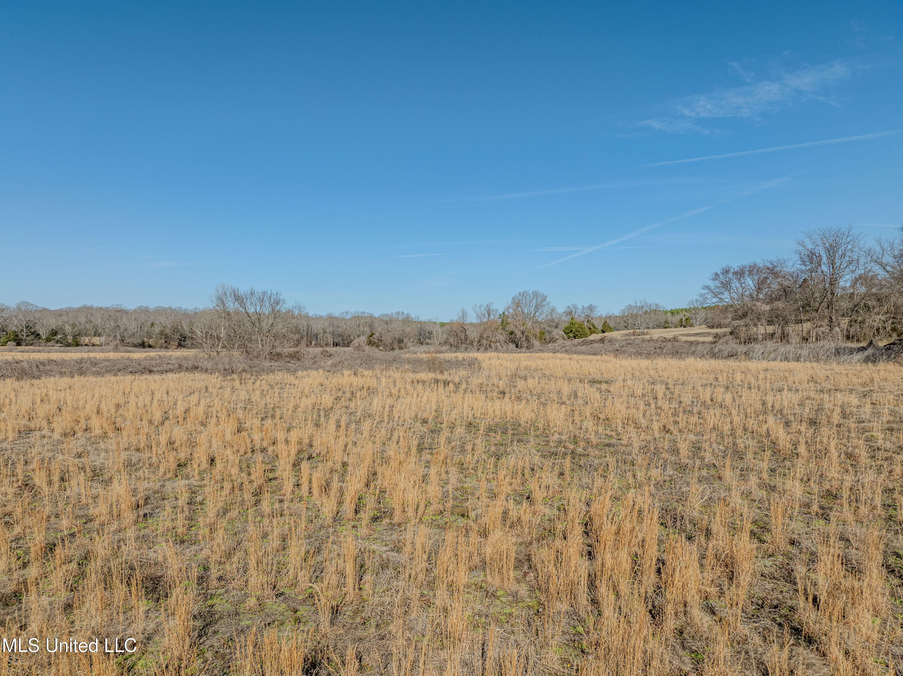 9338 Hudson Road Hernando, MS 38632 - Photo 8 of 10 hudson-27