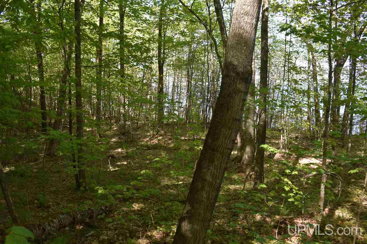 24-acres Co Rd Kb Big Bay, MI 49808 - Photo 43 of 50