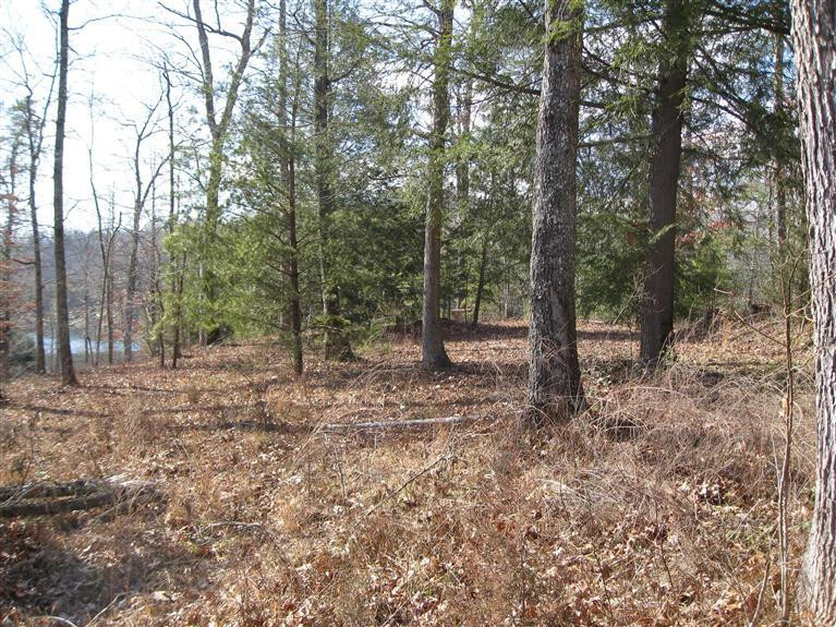29 Fount Hubbard Road London, KY 40741 - Photo 3 of 6 Photo 3