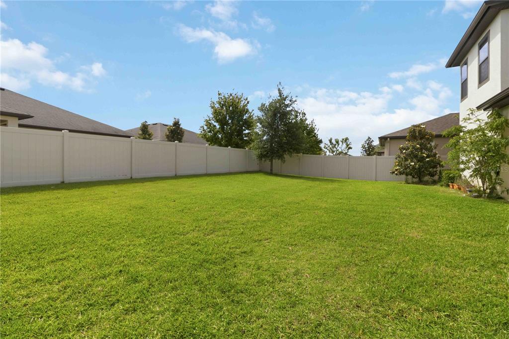 805 Viscount Street Brandon, FL 33511 - Photo 41 of 46 a view of a green yard