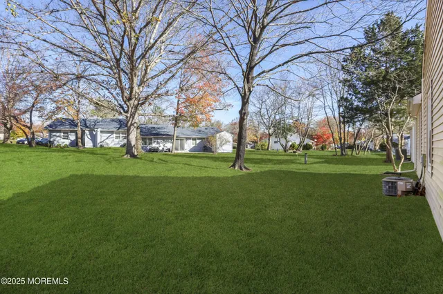 a view of a park with tree s