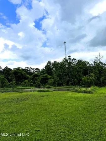 $180,000 | 26.1-acres Brinkman Road East, Moss Point, MS 39562