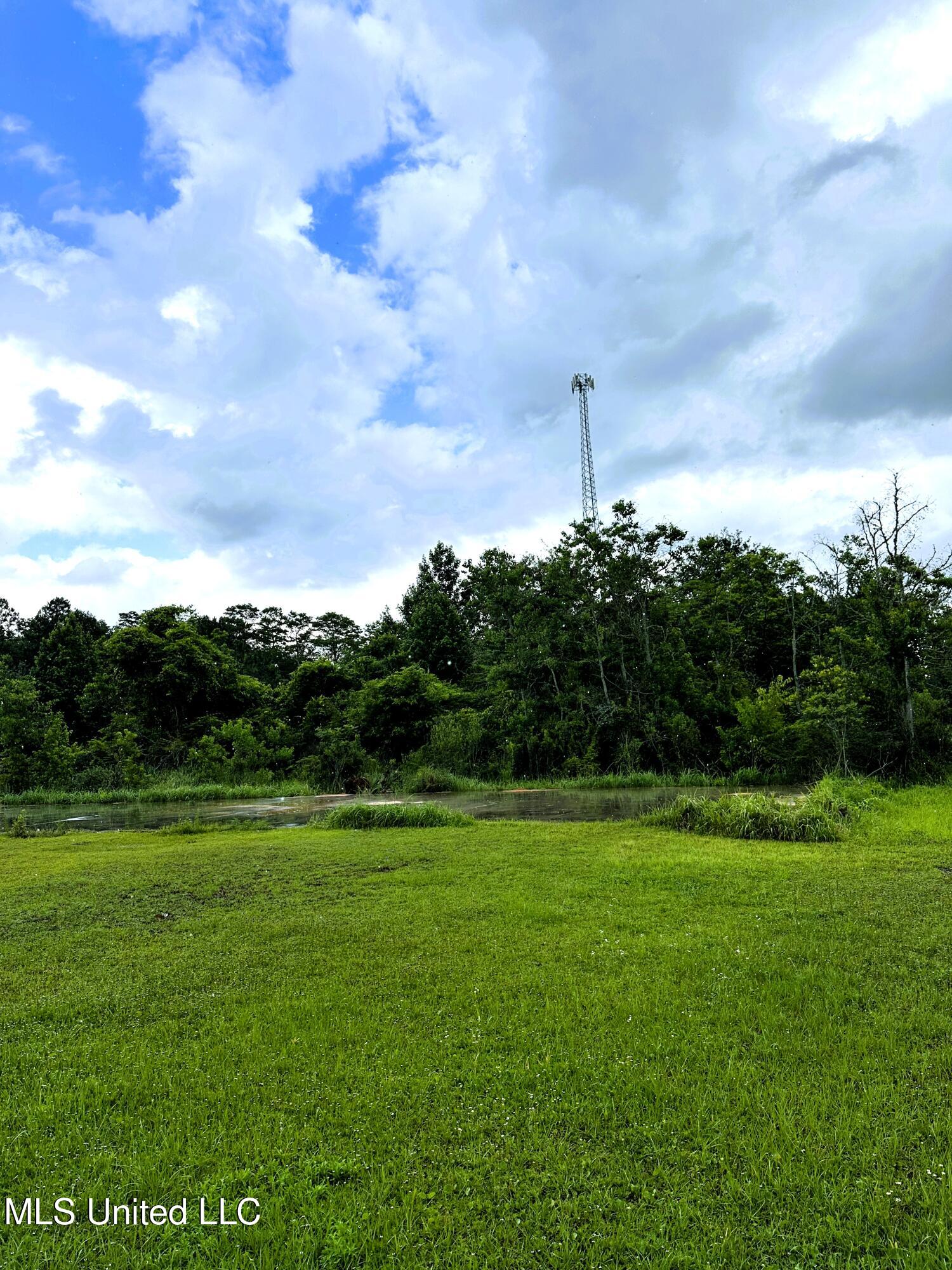27-acres Brinkman Road East Moss Point, MS 39562 - Photo 11 of 12 IMG_1393