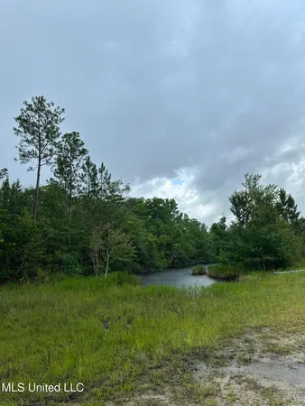 $180,000 | 26.1-acres Brinkman Road East, Moss Point, MS 39562